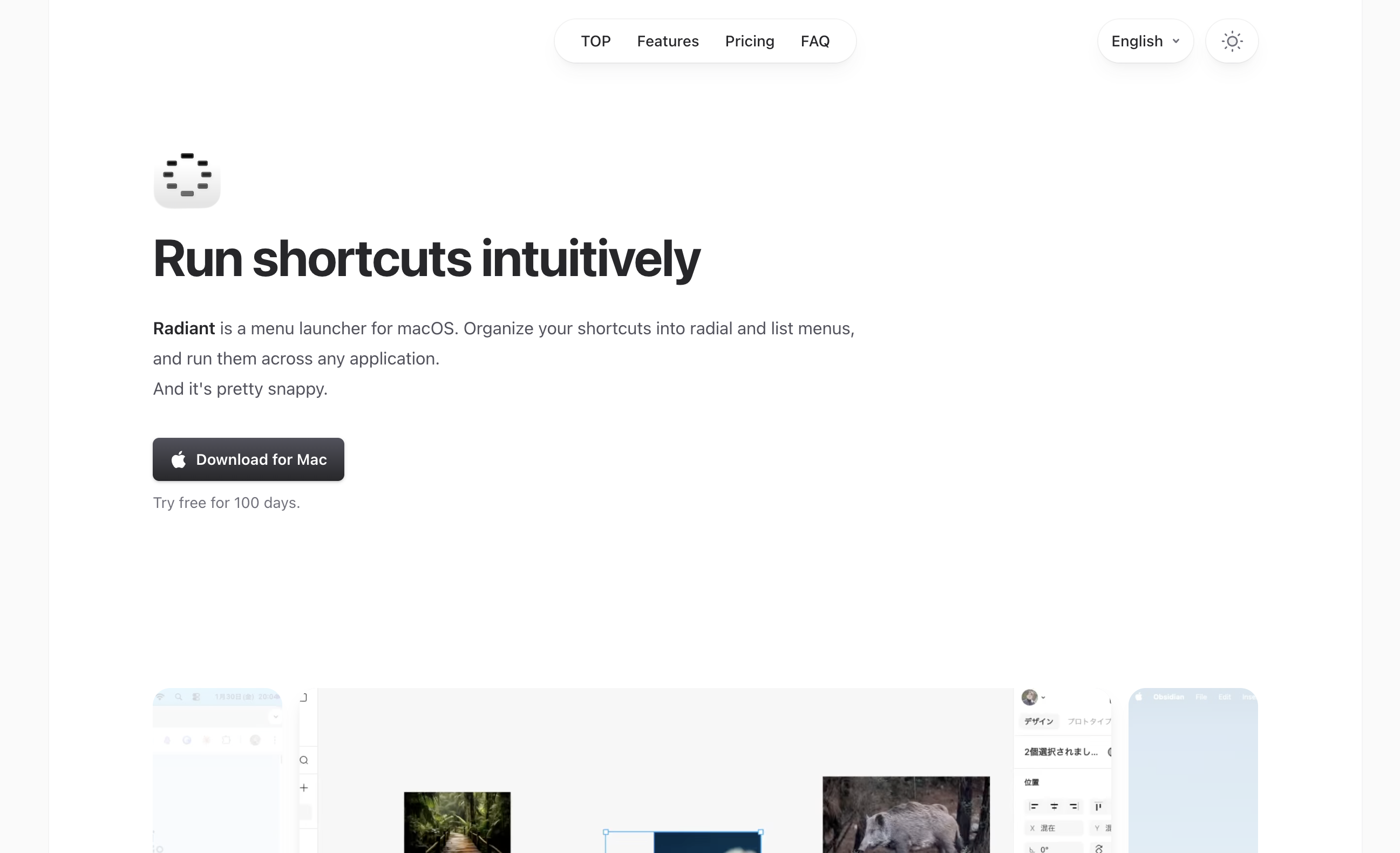 Radiant official website download page