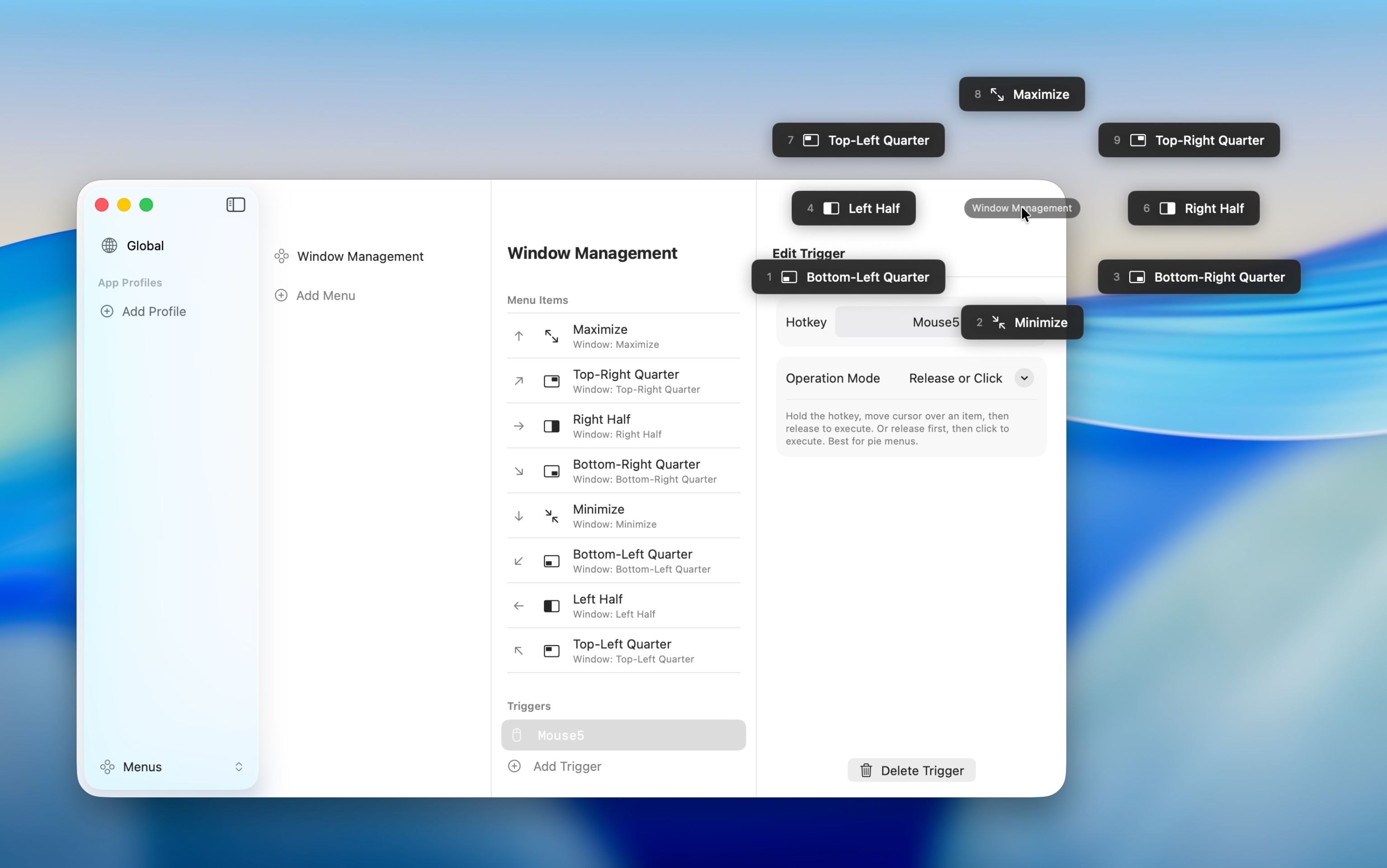 Window management menu in action
